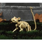 Skelett Ratte 20cm